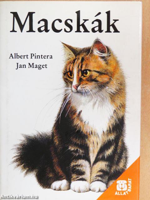Macskák