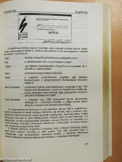 Visual Basic 3.0