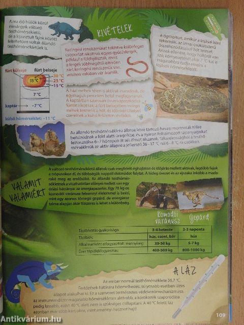 Természettudomány