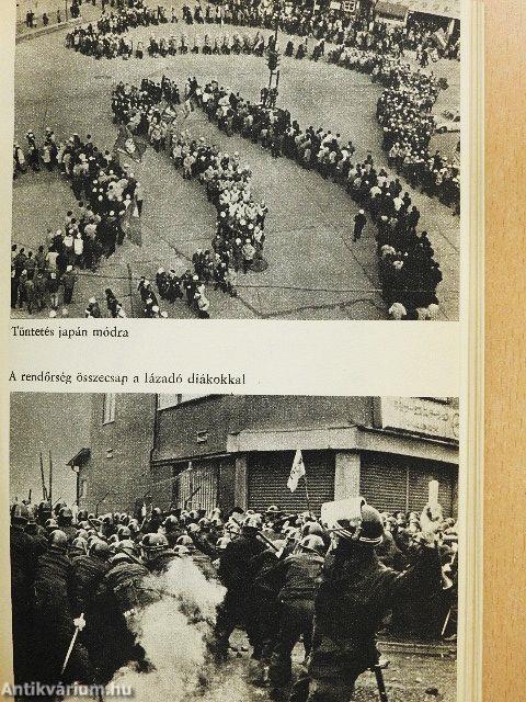 A japán csoda közelről