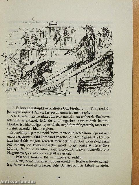 Az Ezüst-tó kincse