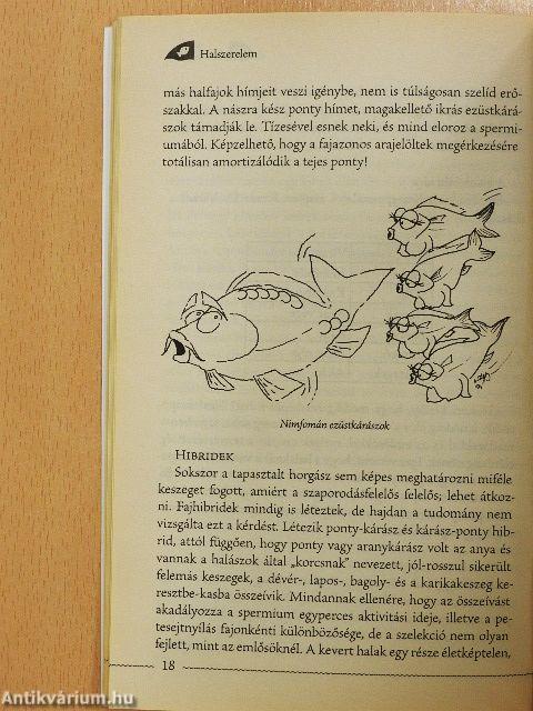 Halszerelem