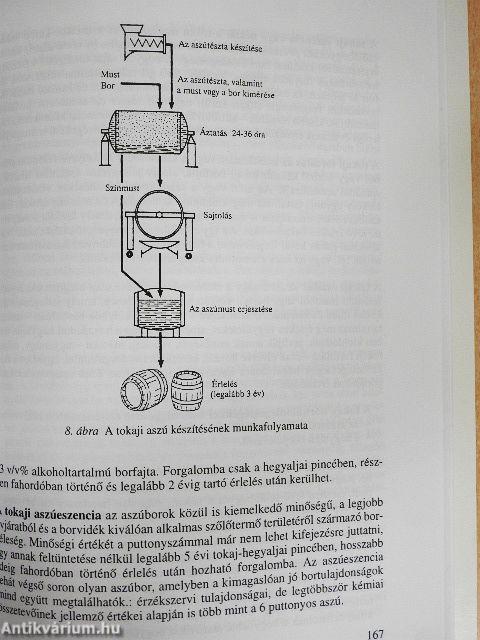Gasztronómia