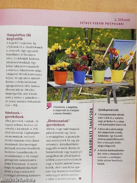 Színes dézsakertek