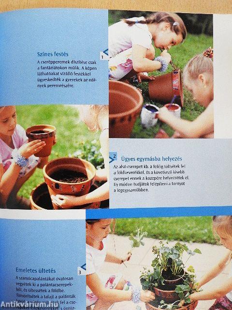 Színes dézsakertek