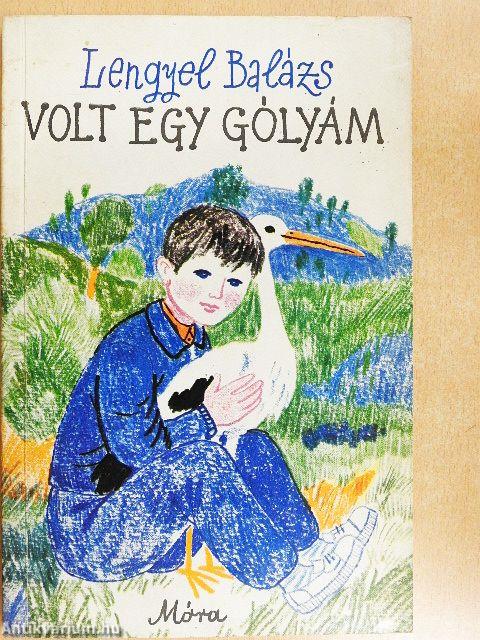 Volt egy gólyám