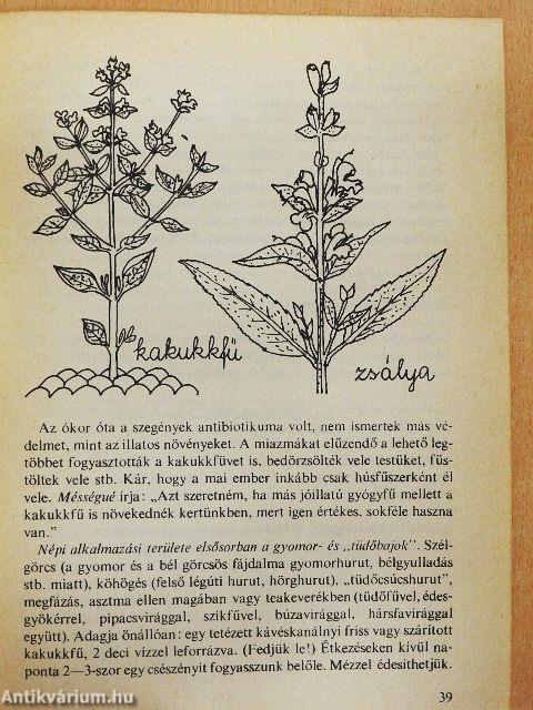 Biogyógyszerek a gyógyító növények