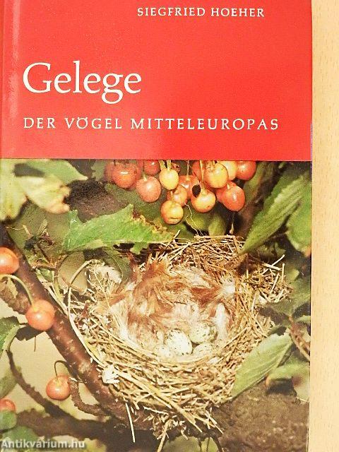 Gelege