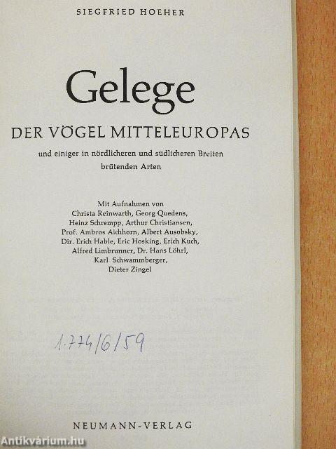 Gelege