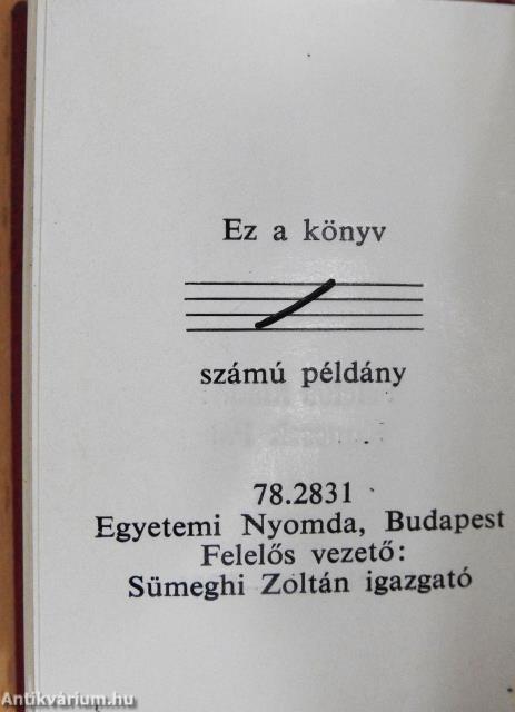 Zenei napok Nyírbátor (minikönyv)