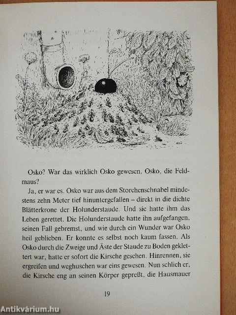 Der einsame Frosch