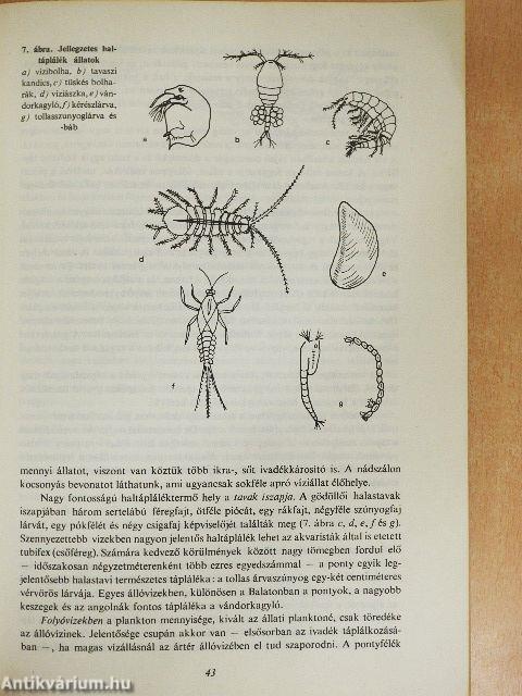 Horgászok kézikönyve