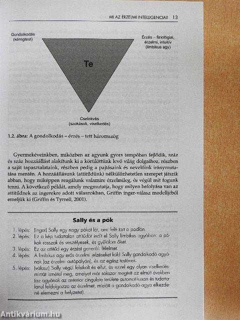 Érzelmi intelligencia coaching