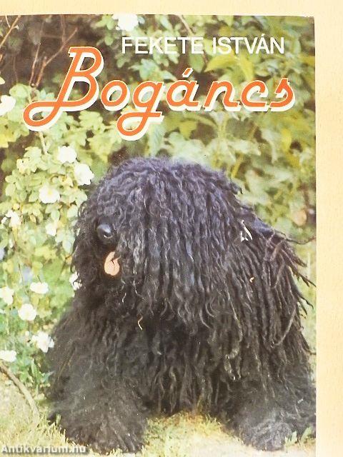 Bogáncs