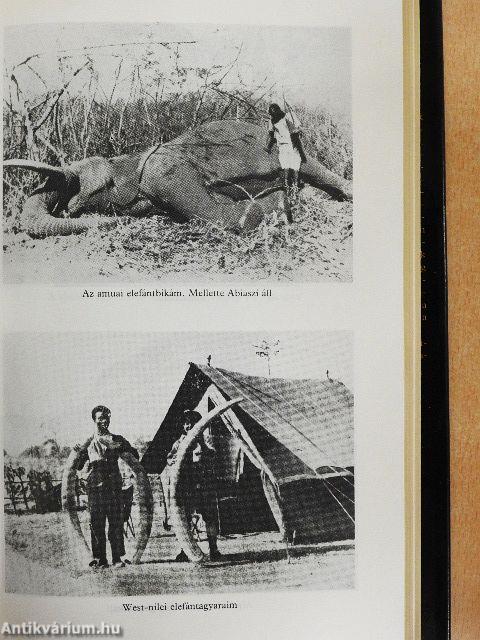 Afrikai vadászkönyv
