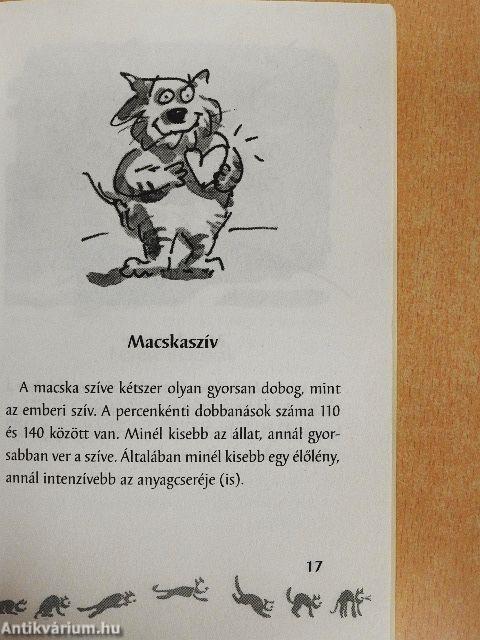 MacskaParádé