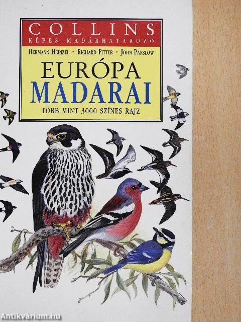 Európa madarai