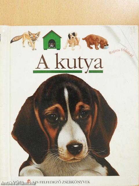 A kutya