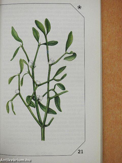 Allergia