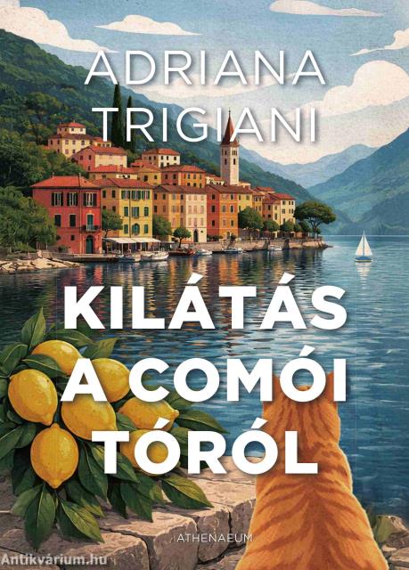 Kilátás a Comói-tóról