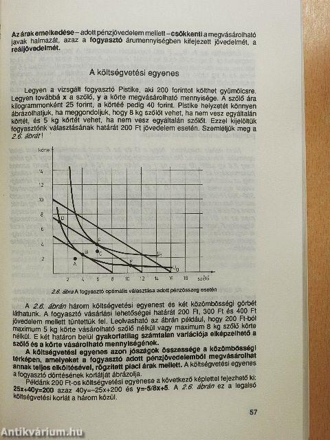 Közgazdaságtan I.