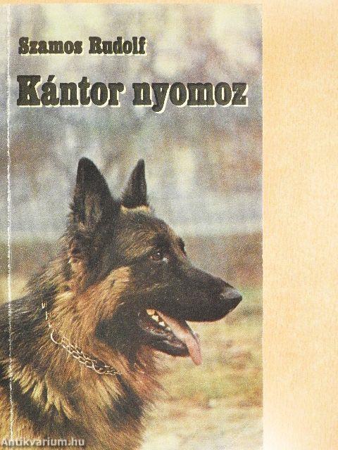 Kántor nyomoz