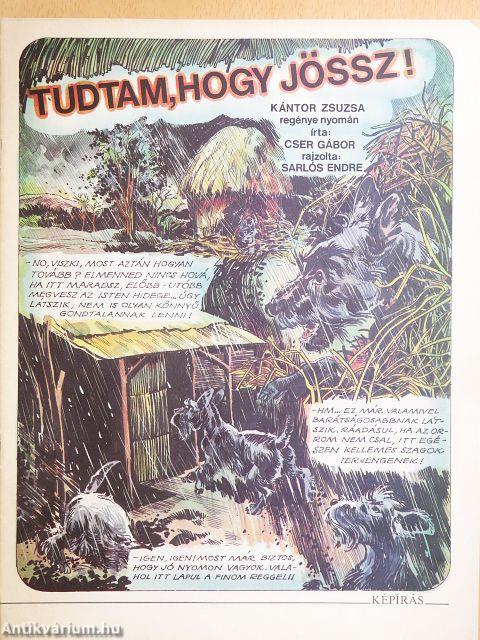 Tudtam, hogy jössz!