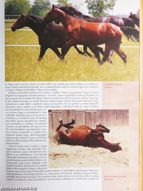 Magyar lovak