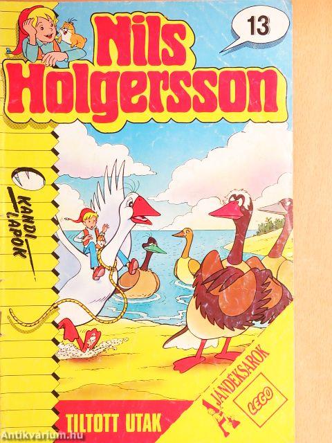 Nils Holgersson 13.