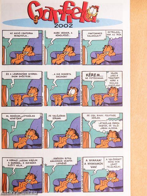 Garfield 2003/9. szeptember
