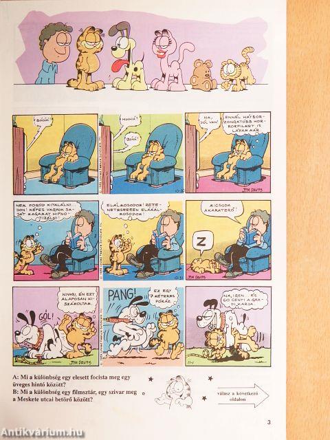 Garfield 1990/11.