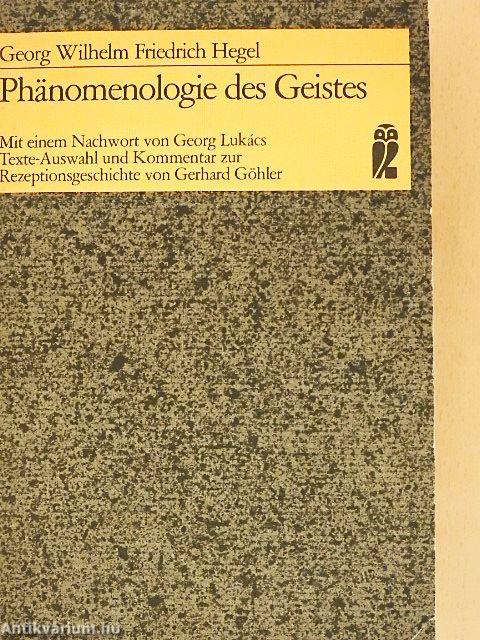 Phänomenologie des Geistes