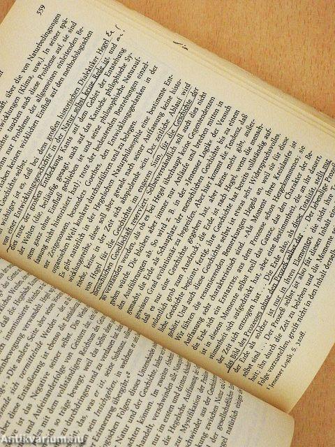 Phänomenologie des Geistes