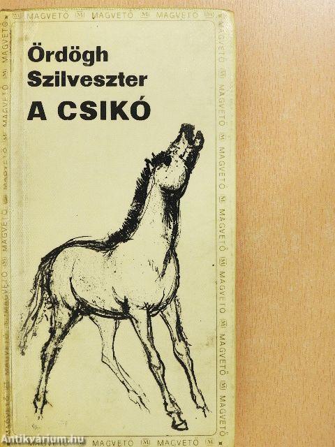 A csikó