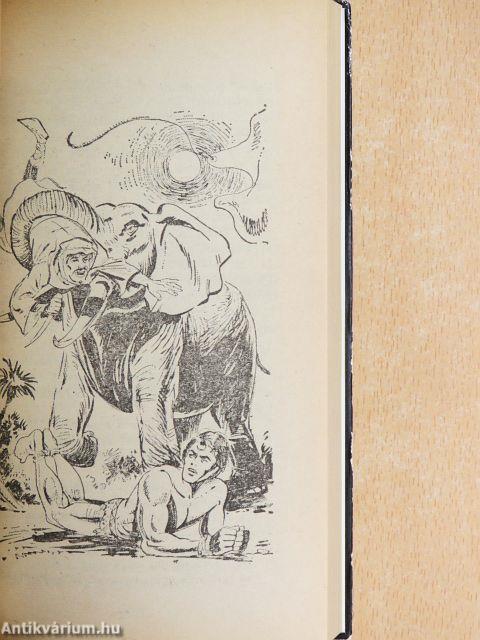 Tarzan a dzsungel ura