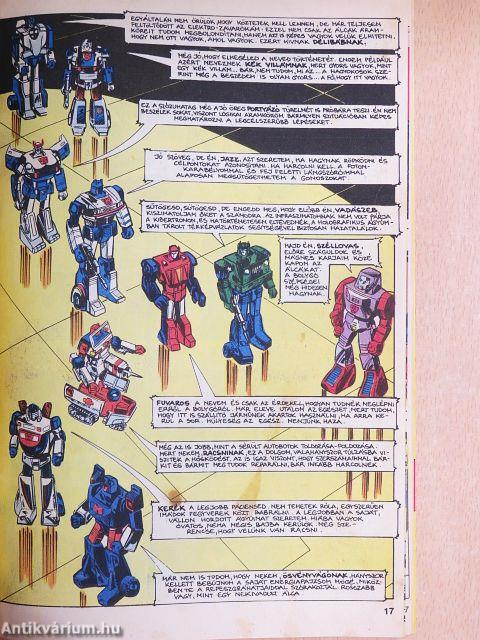 Transformer 1991/1. június
