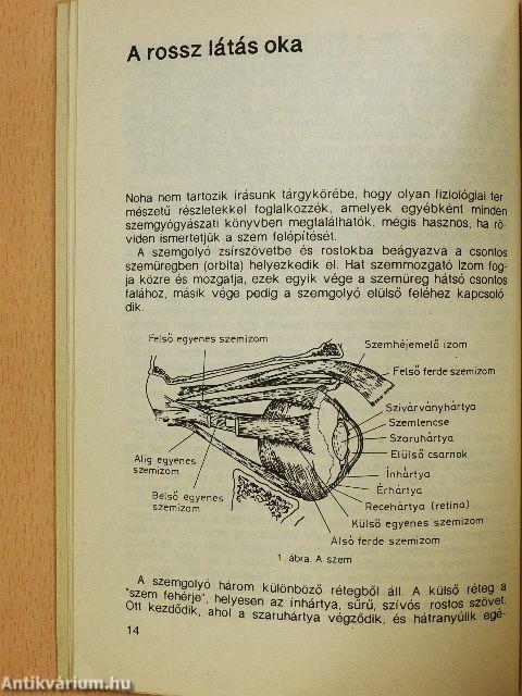 Dobd el a szemüveged!