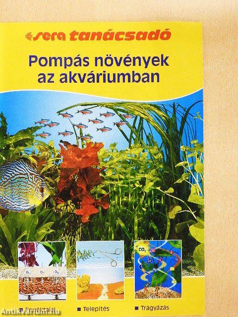 Pompás növények az akváriumban