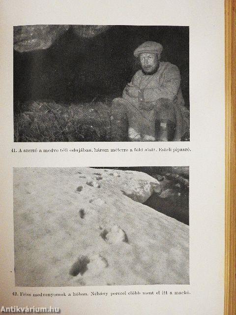 A viharok hazájában