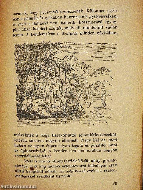 Az ismeretlen Szaharában