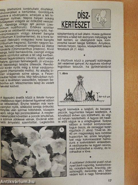 Kerti Kalendárium 2000. november-december