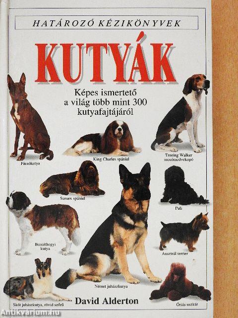 Kutyák