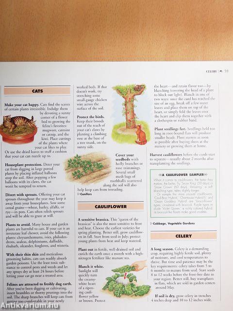 1001 Hints & Tips for Your Garden