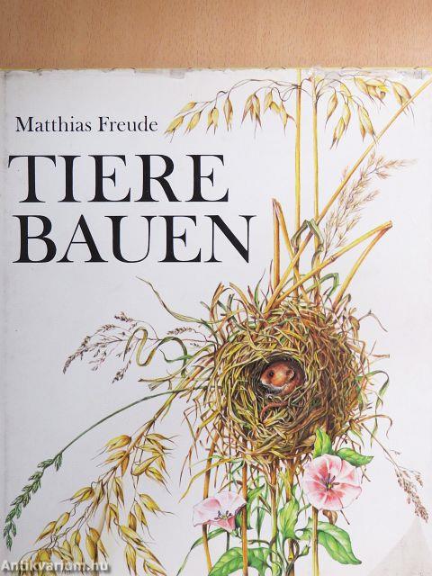 Tiere Bauen