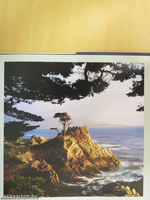 Big Sur to Big Basin