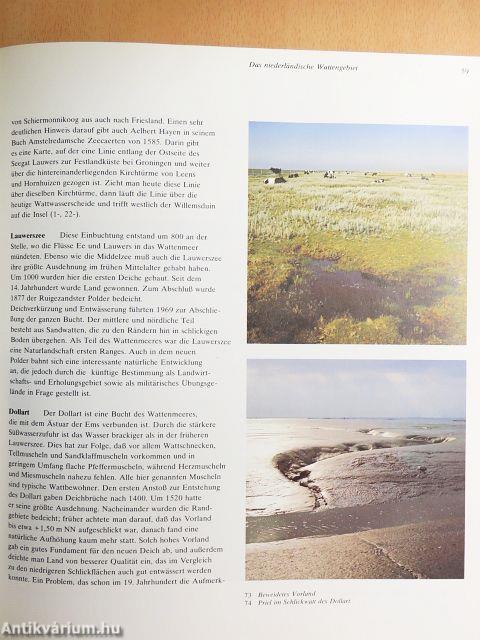 Wattenmeer