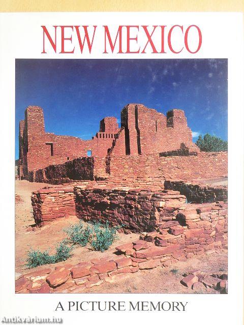 New Mexico