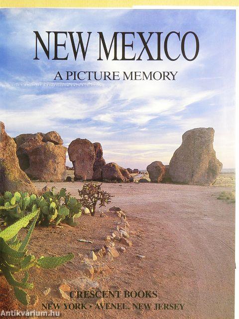 New Mexico