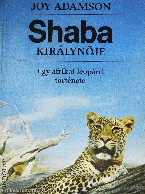 Shaba királynője