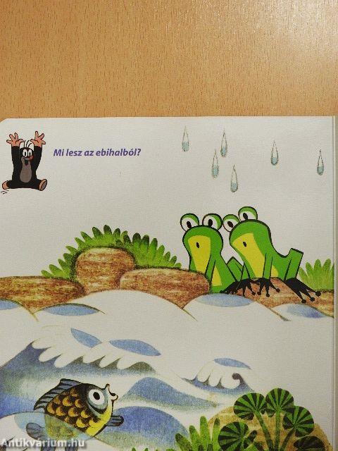 Kisvakond és az állatkák